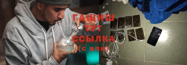 амф Бородино