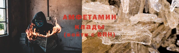 амф Бородино