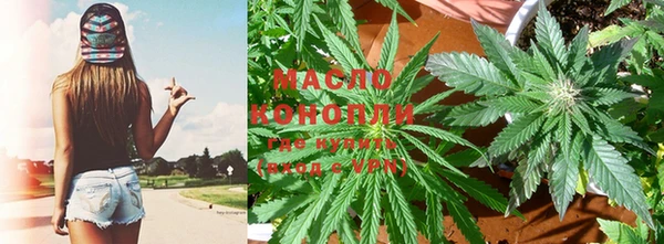 амф Бородино