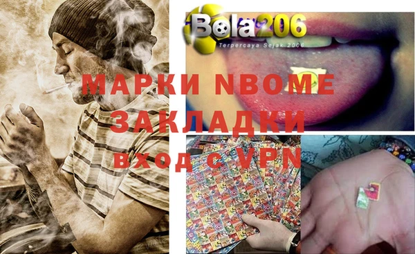 амф Бородино