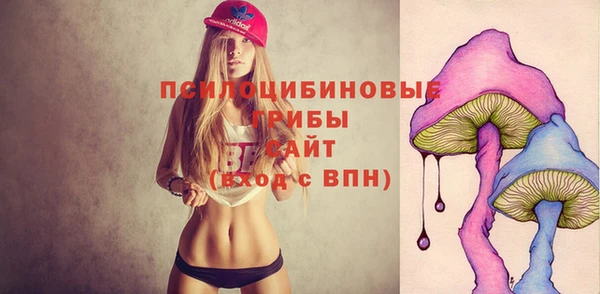 а пвп мука Бугульма